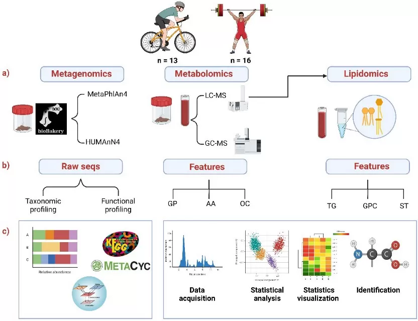 Overview of the integrative omics workflow for studying the gut microbiota and host metabolism in athletes Overview of the integrative omics workflow for studying the gut microbiota and host metabolism in athletes